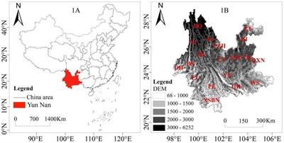 Dynamic change, driving mechanism and spatiotemporal prediction of the normalized vegetation index: a case study from Yunnan Province, China